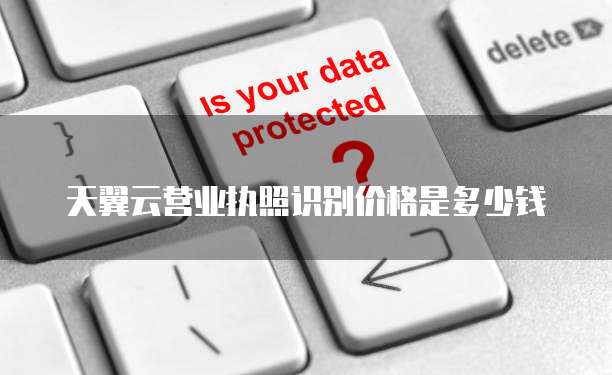 天翼云营业执照识别价格是多少钱