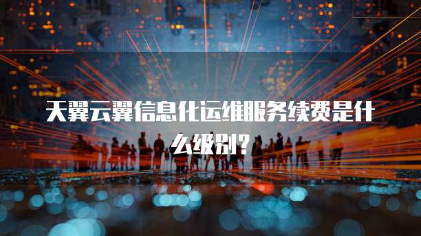 天翼云翼信息化运维服务续费是什么级别?
