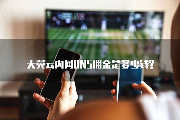天翼云内网DNS佣金是多少钱?