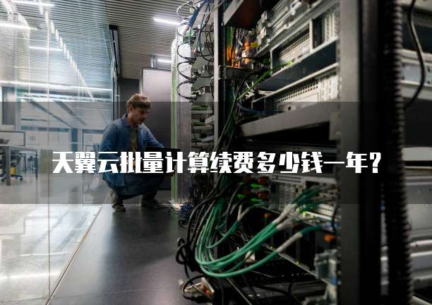 天翼云批量计算续费多少钱一年?