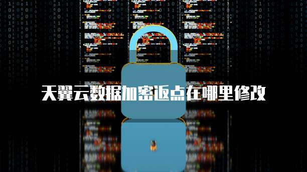 天翼云数据加密返点在哪里修改