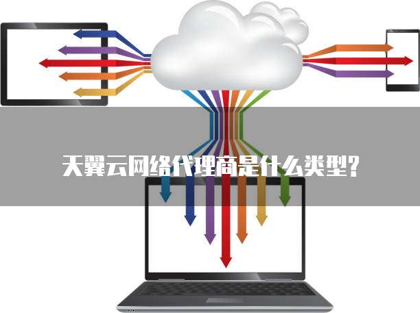 天翼云网络代理商是什么类型?