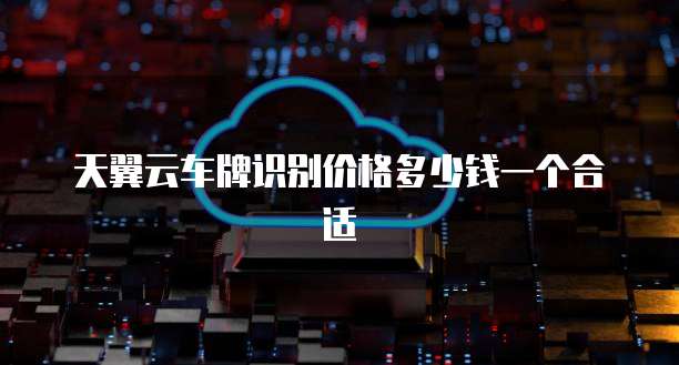天翼云车牌识别价格多少钱一个合适