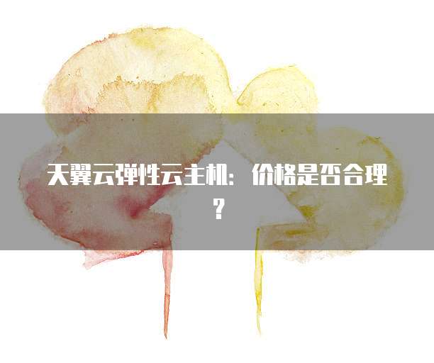 天翼云弹性云主机:价格是否合理?
