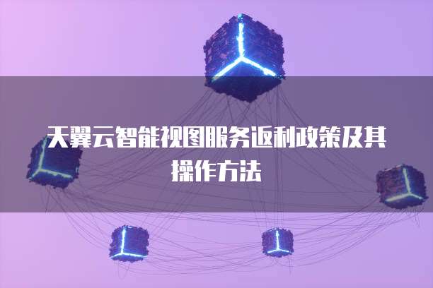 天翼云智能视图服务返利政策及其操作方法