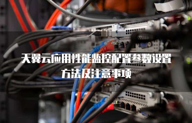 天翼云应用性能监控配置参数设置方法及注意事项