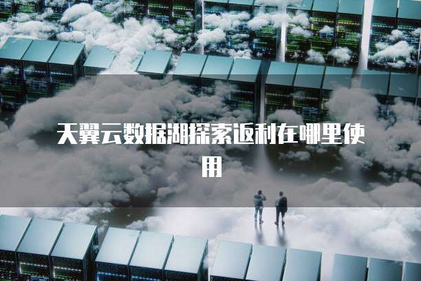  天翼云数据湖探索返利在哪里使用