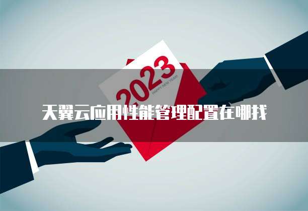 天翼云应用性能管理配置在哪找