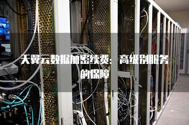 天翼云数据加密续费:高级别服务的保障