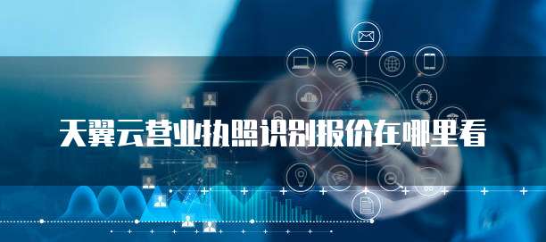 天翼云营业执照识别报价在哪里看