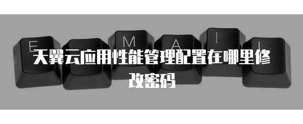 天翼云应用性能管理配置在哪里修改密码