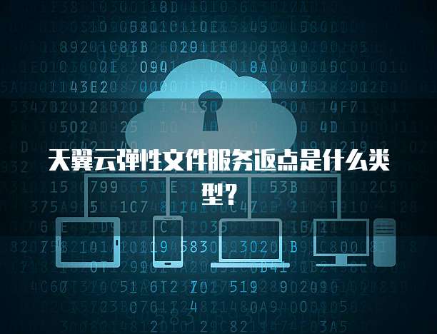 天翼云弹性文件服务返点是什么类型?