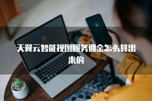 天翼云智能视图服务佣金怎么算出来的