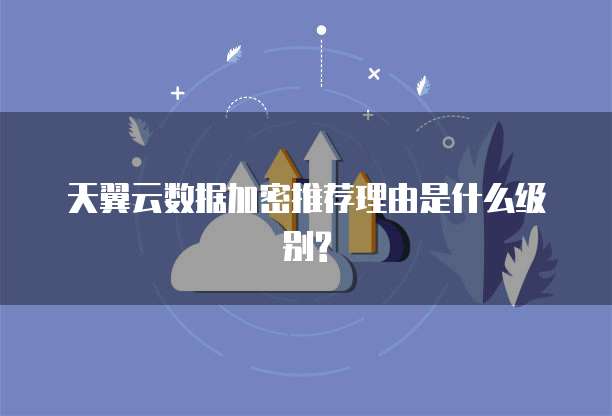 天翼云数据加密推荐理由是什么级别?