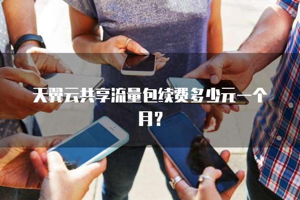 天翼云共享流量包续费多少元一个月?