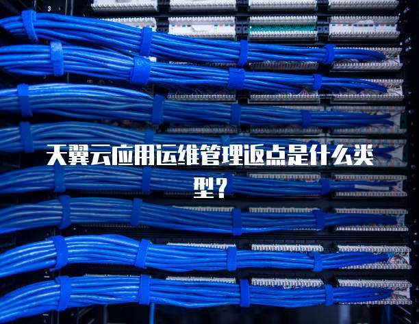 天翼云应用运维管理返点是什么类型?