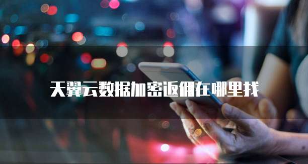 天翼云数据加密返佣在哪里找