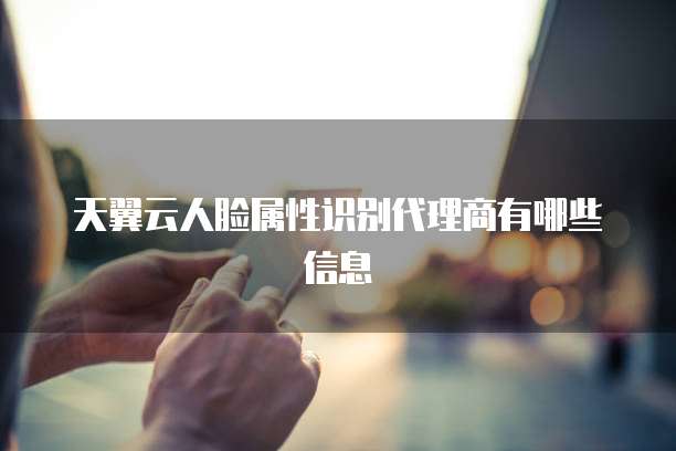 天翼云人脸属性识别代理商有哪些信息