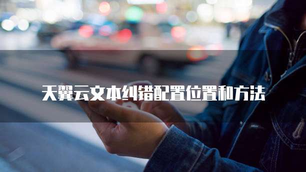 天翼云文本纠错配置位置和方法