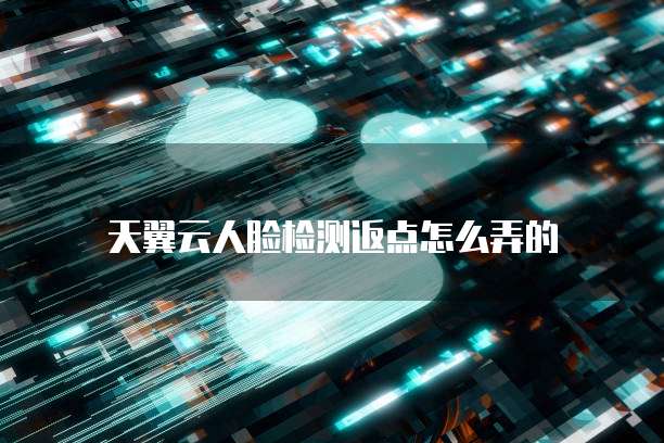 天翼云人脸检测返点怎么弄的