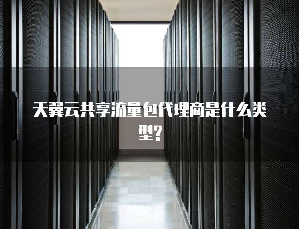 天翼云共享流量包代理商是什么类型?