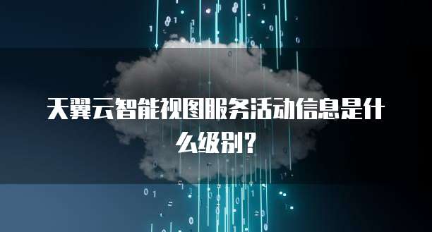 天翼云智能视图服务活动信息是什么级别?