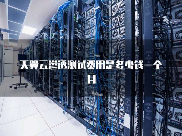 天翼云渗透测试费用是多少钱一个月