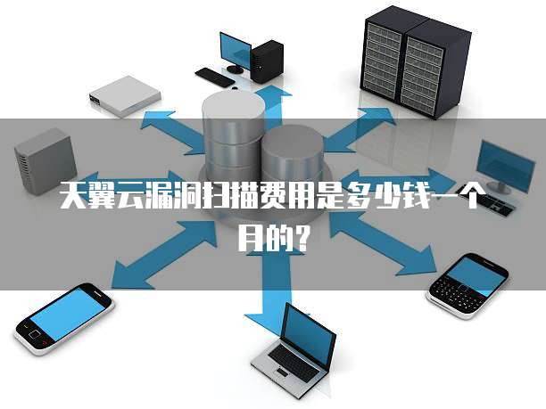 天翼云漏洞扫描费用是多少钱一个月的?