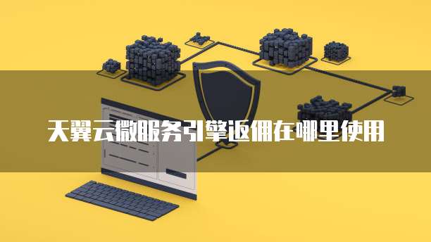天翼云微服务引擎返佣在哪里使用
