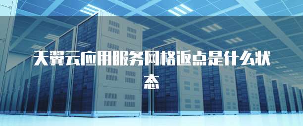 天翼云应用服务网格返点是什么状态