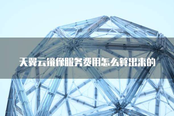 天翼云镜像服务费用怎么算出来的