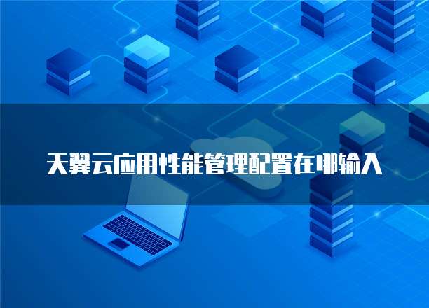 天翼云应用性能管理配置在哪输入