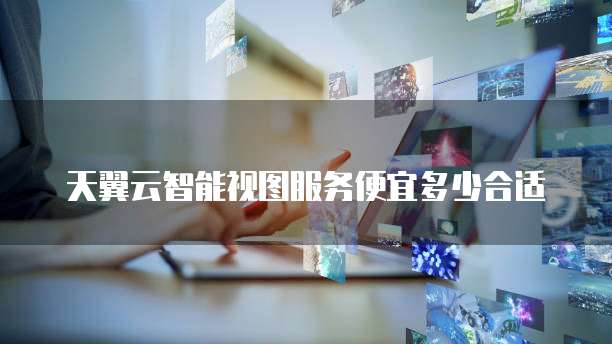 天翼云智能视图服务便宜多少合适