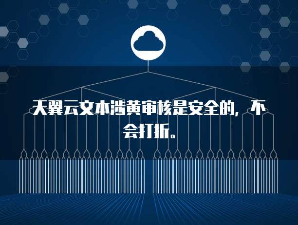 天翼云文本涉黄审核是安全的,不会打折。
