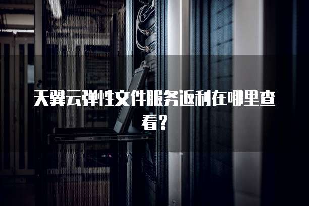 天翼云弹性文件服务返利在哪里查看?