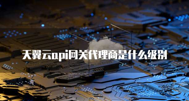 天翼云api网关代理商是什么级别