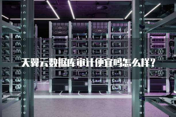 天翼云数据库审计便宜吗怎么样?