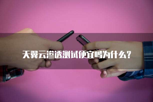 天翼云渗透测试便宜吗为什么?