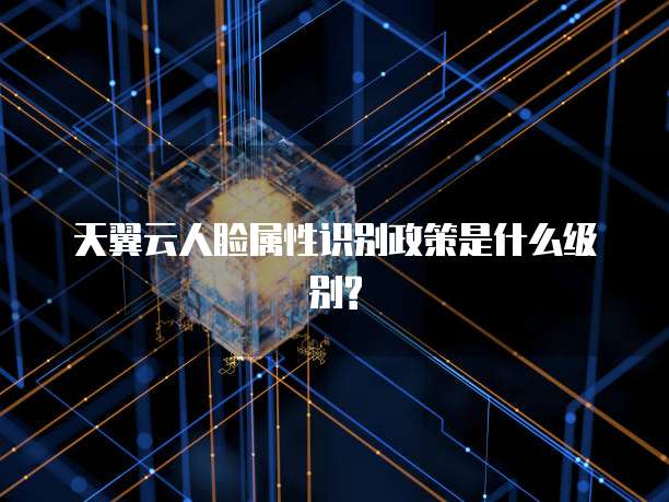 天翼云人脸属性识别政策是什么级别?