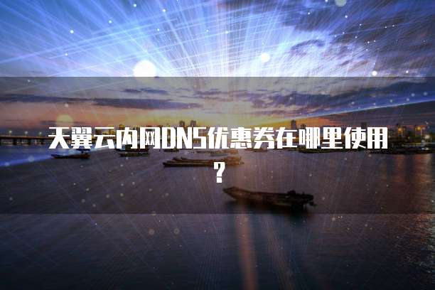 天翼云内网DNS优惠券在哪里使用？