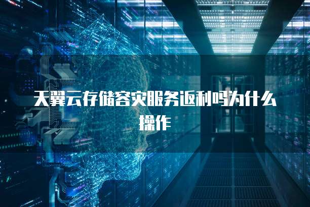 天翼云存储容灾服务返利吗为什么操作