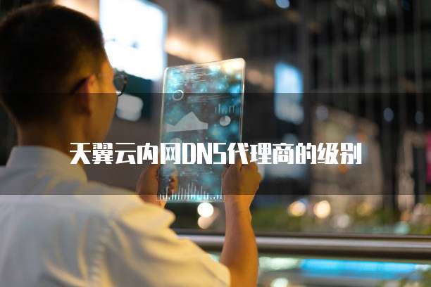 天翼云内网DNS代理商的级别