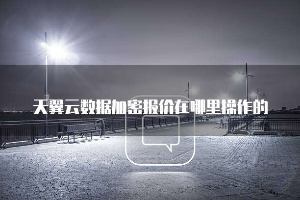 天翼云数据加密报价在哪里操作的