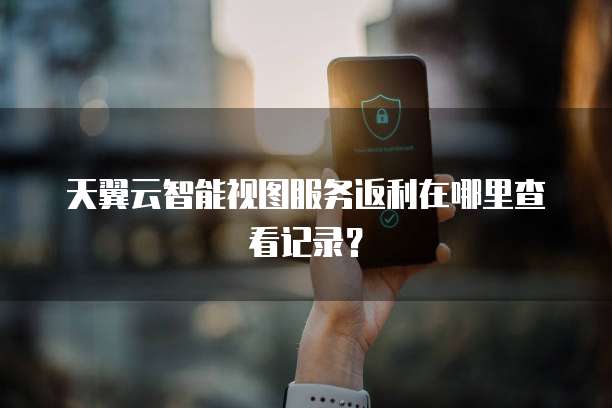 天翼云智能视图服务返利在哪里查看记录?