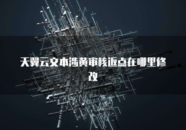 天翼云文本涉黄审核返点在哪里修改