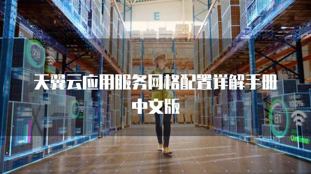 天翼云应用服务网格配置详解手册中文版