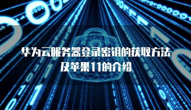 设置密码保护功能的天翼云服务器挂载云盘