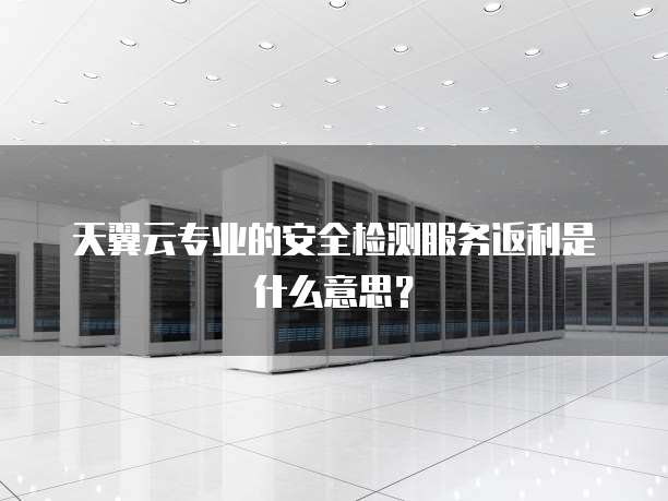 天翼云专业的安全检测服务返利是什么意思?