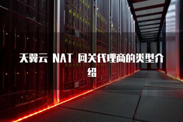 天翼云 NAT 网关代理商的类型介绍