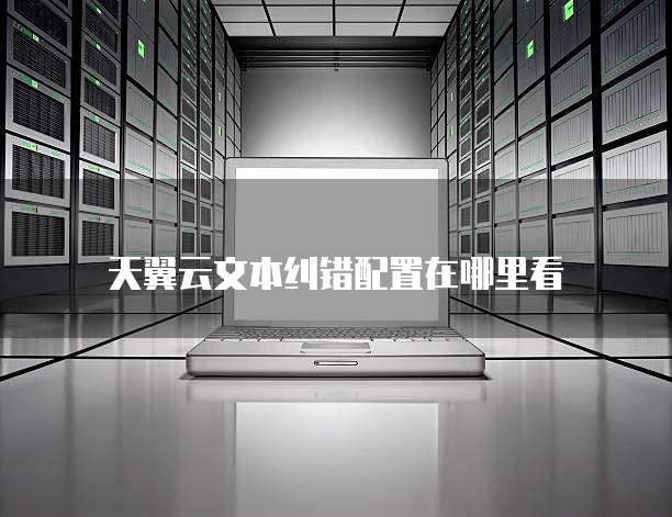 天翼云文本纠错配置在哪里看